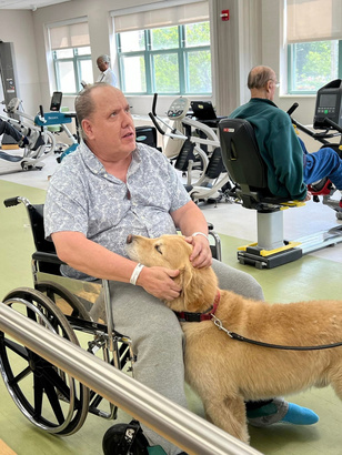 A resident in a wheelchair petting a therapy dog in the rehabilitation gym